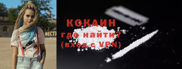 прущие грибы Нестеровская