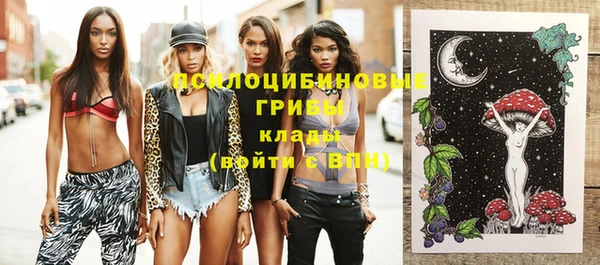 мдпв Корсаков